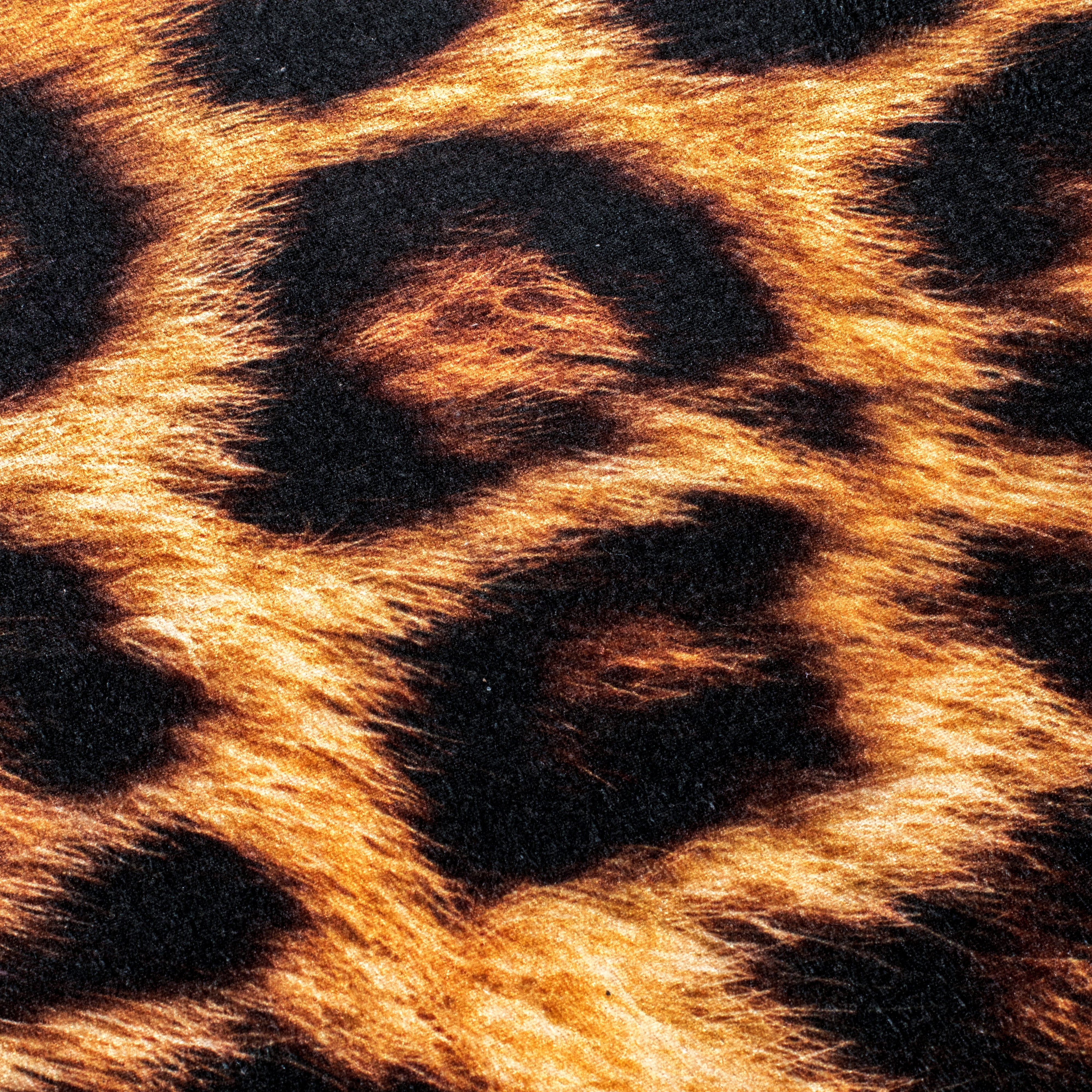 Tiger Mat