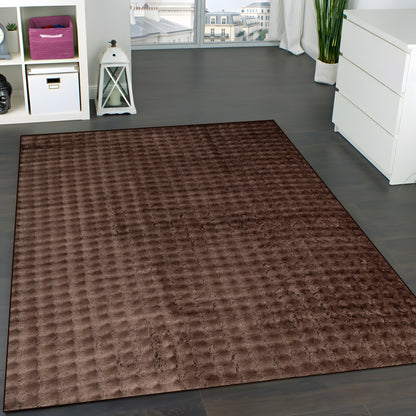 Pyles Velvet Rug - Brown