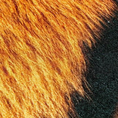leopard mat digital carpet 3d
