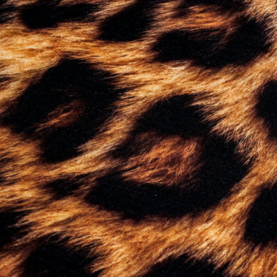 Tiger Mat